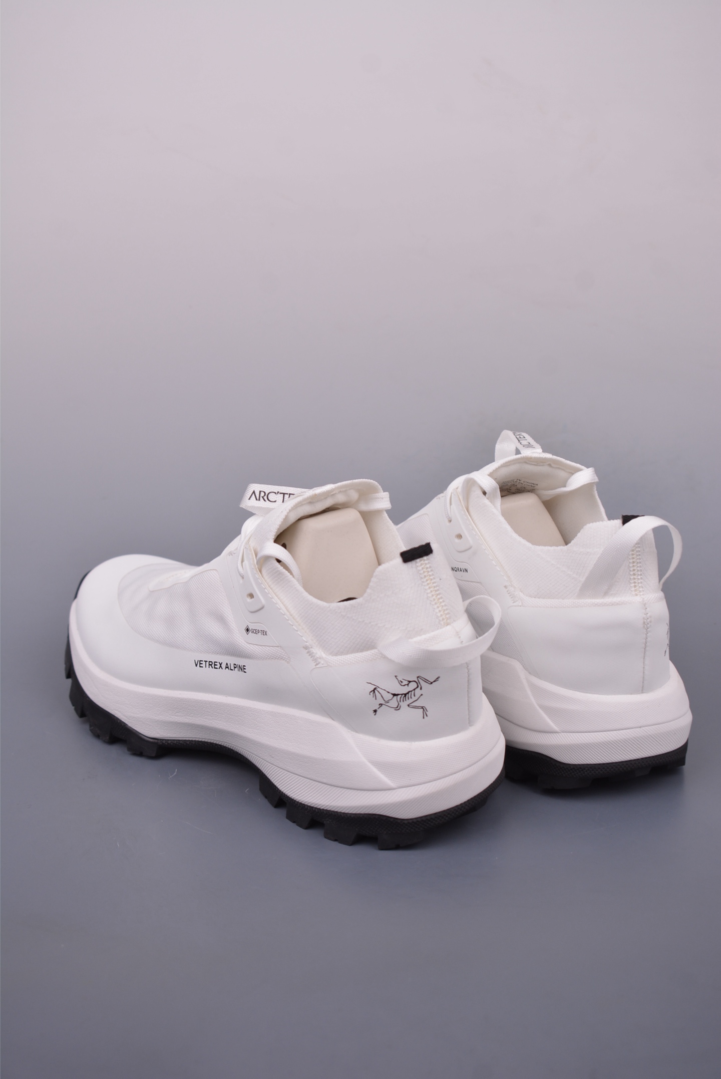 Arc'teryx Vertex Alpine GTX Sneakers White X000009018