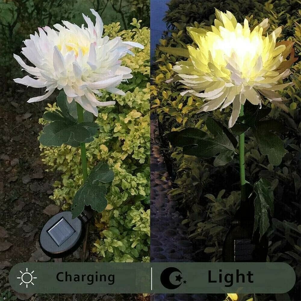 🎁Best Mother's Day Gift Of 2023🎁Outdoor Chrysanthemum Solar Garden Stake Decor Lights
