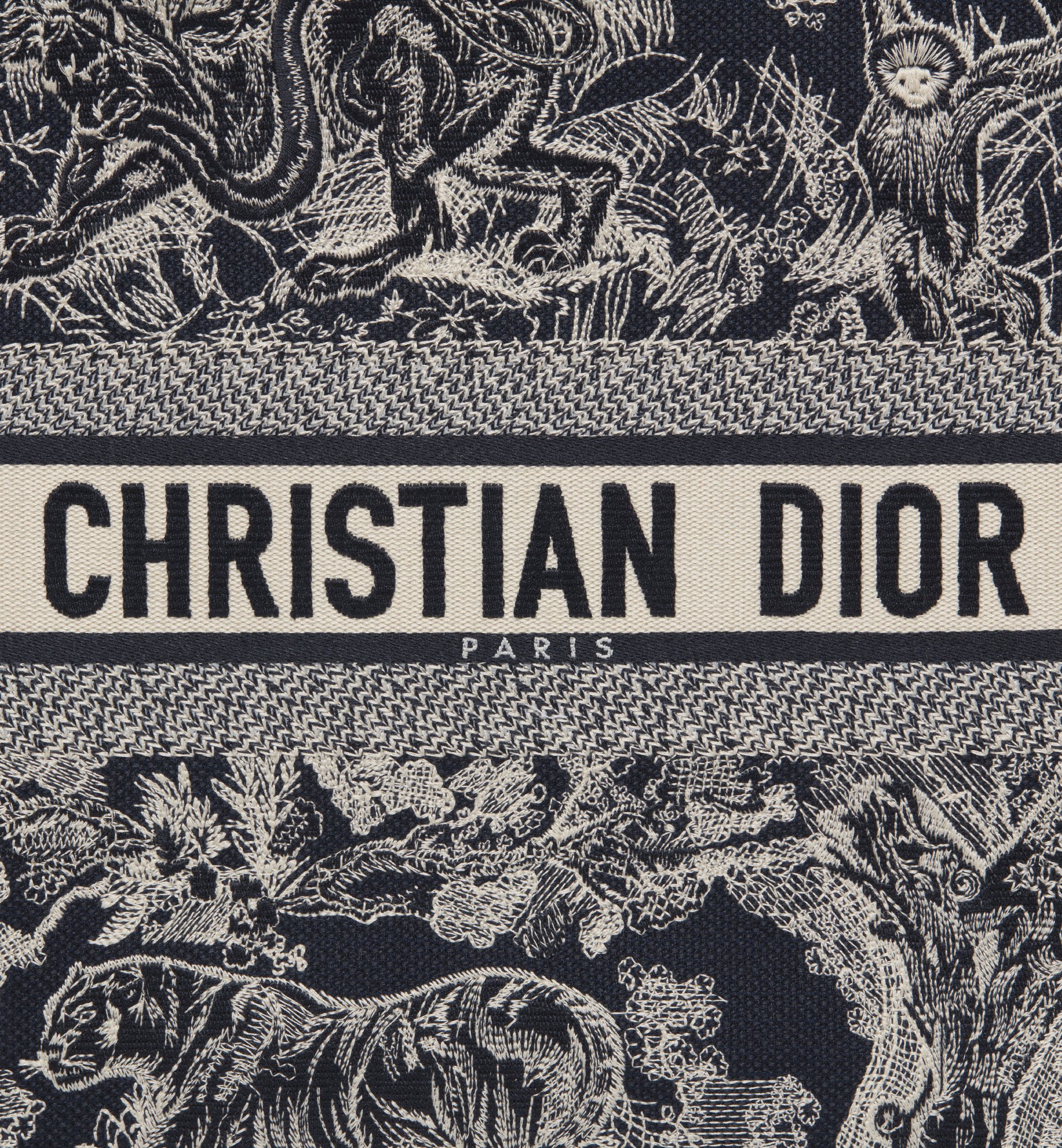 Dior Large Book Tote Bag M1286ZRGO_M35I