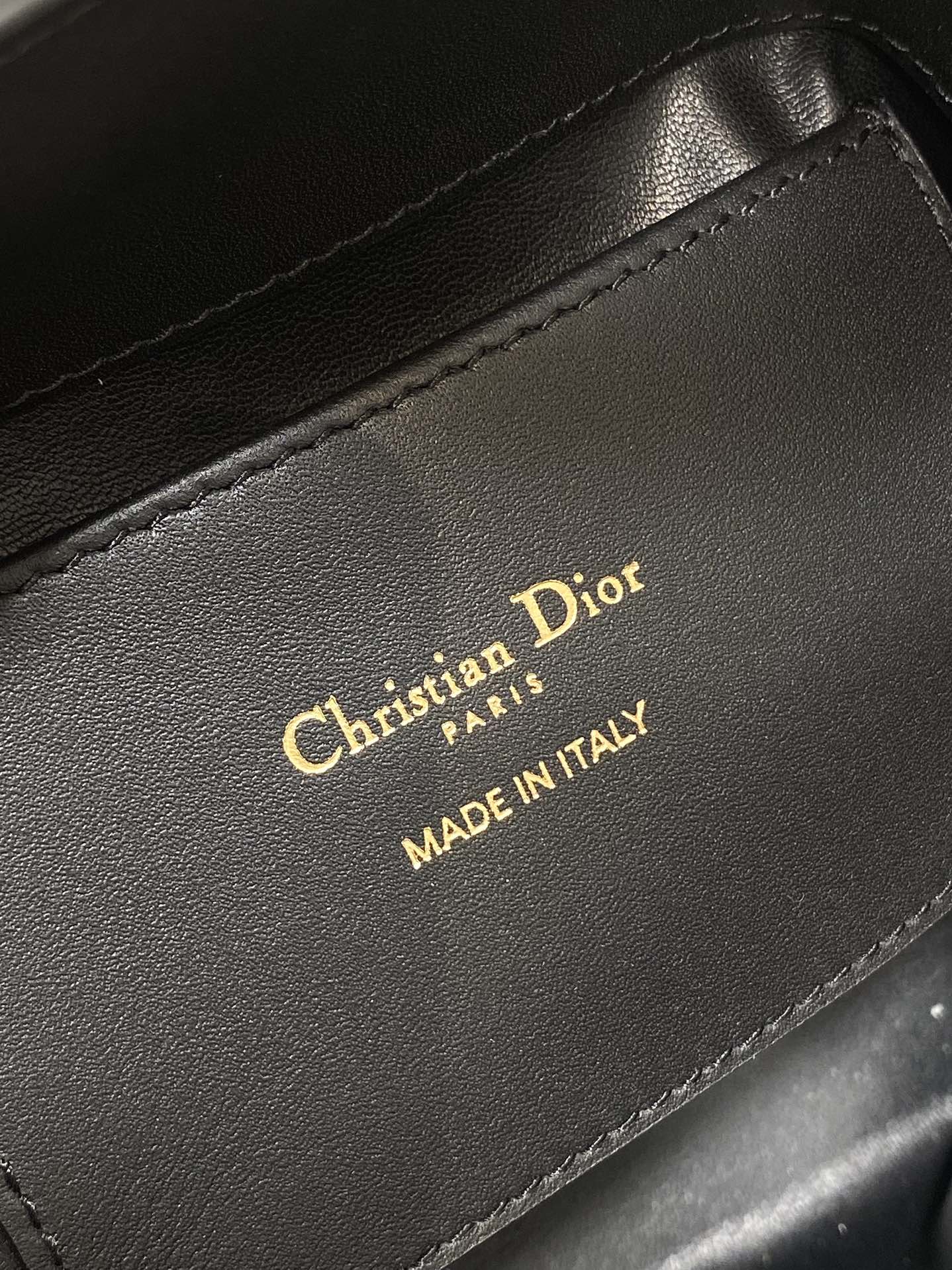 Dior Toujours vertical series mini