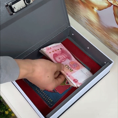 🔑Secret Book Safe Box💵🔥