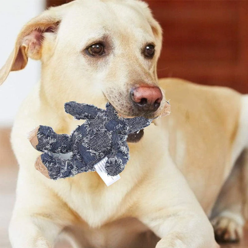 (🔥Last Day Promotion-SAVE 50% OFF)🐶2023 New Indestructible Squeaky Plush Bear Toy for Heavy Chewers-🔥BUY 2 GET 10% OFF & FREE SHIPPING