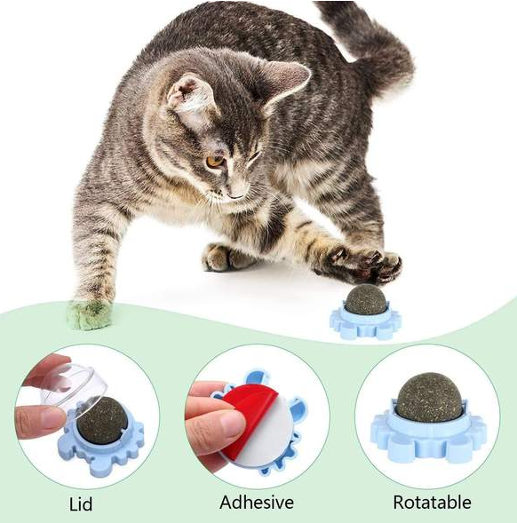 🔥Mother's Day Sale 50% Off- Catnip Ball Toy – Teething Cleaning (Set of 3 pcs)🔥BUY 2 SETS GET 10% OFF & FREE SHIPPING