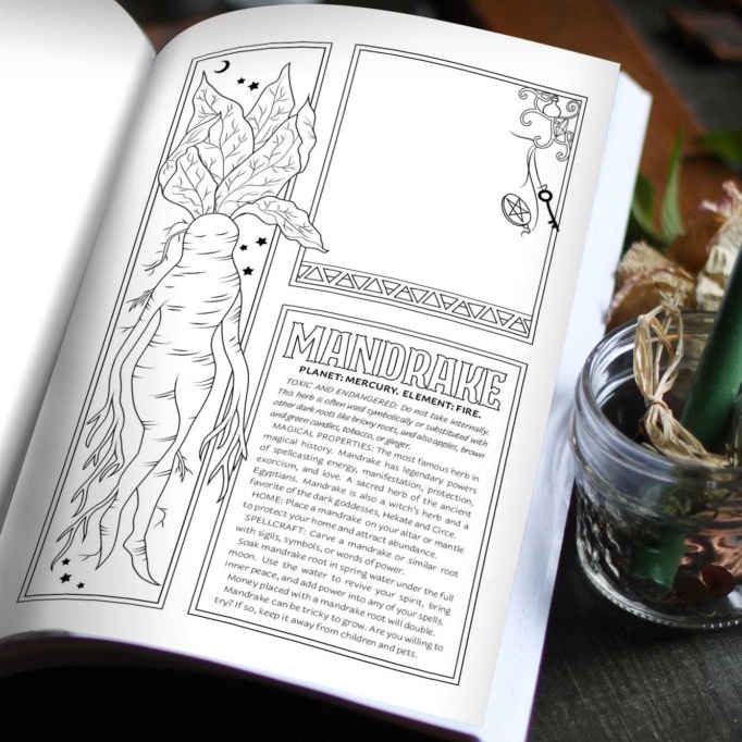 A Coloring Book of Herbal Magic - Green Witch's Herbal