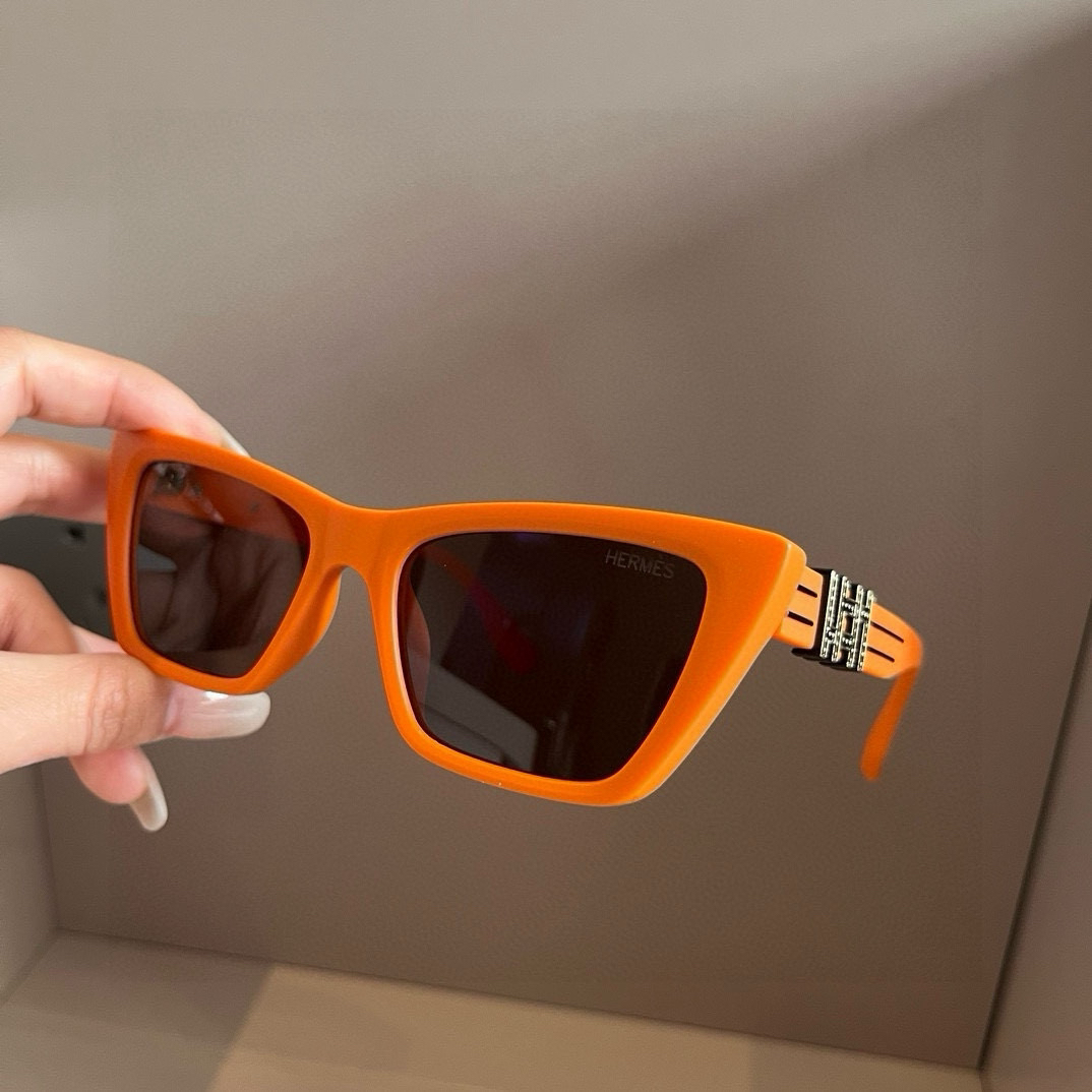 Hermes polarized sunglasses