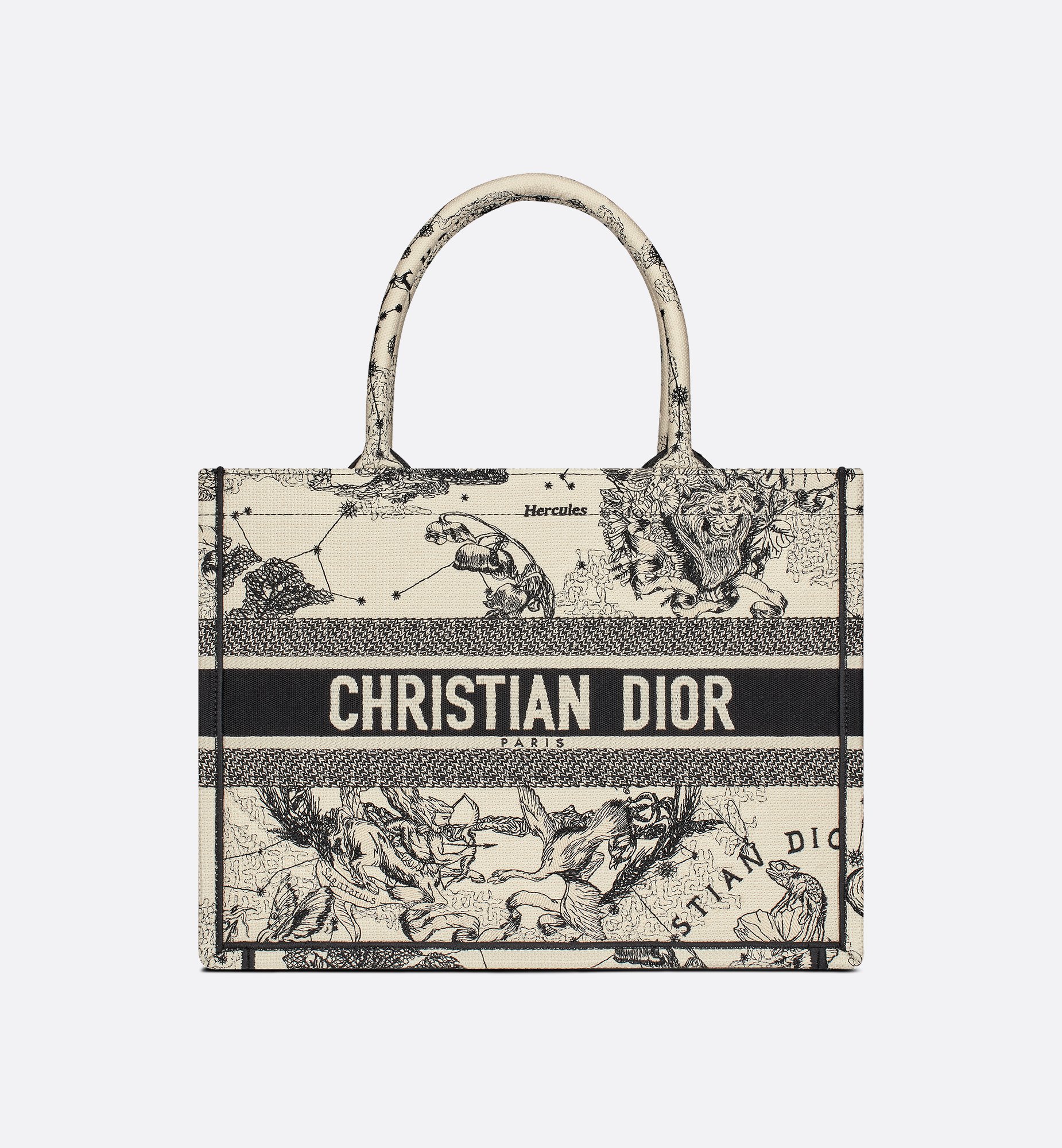 Dior Medium Book Tote Bag M1296ZRHZ_M06E