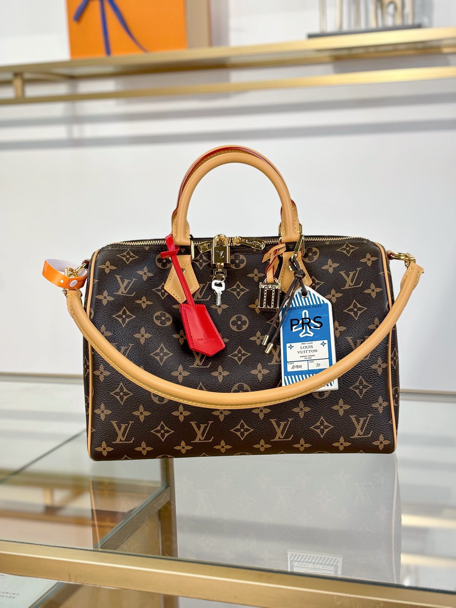 Louis Vuitton SPEEDY SOFT 30 DARK Handbag M11945