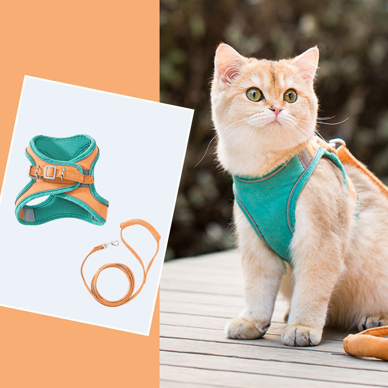 🔥Last Day Promotion-[SAVE 50% OFF]--Luminous Cat Vest Harness and Leash Set--BUY 2 GET 10% OFF & FREE SHIPPING