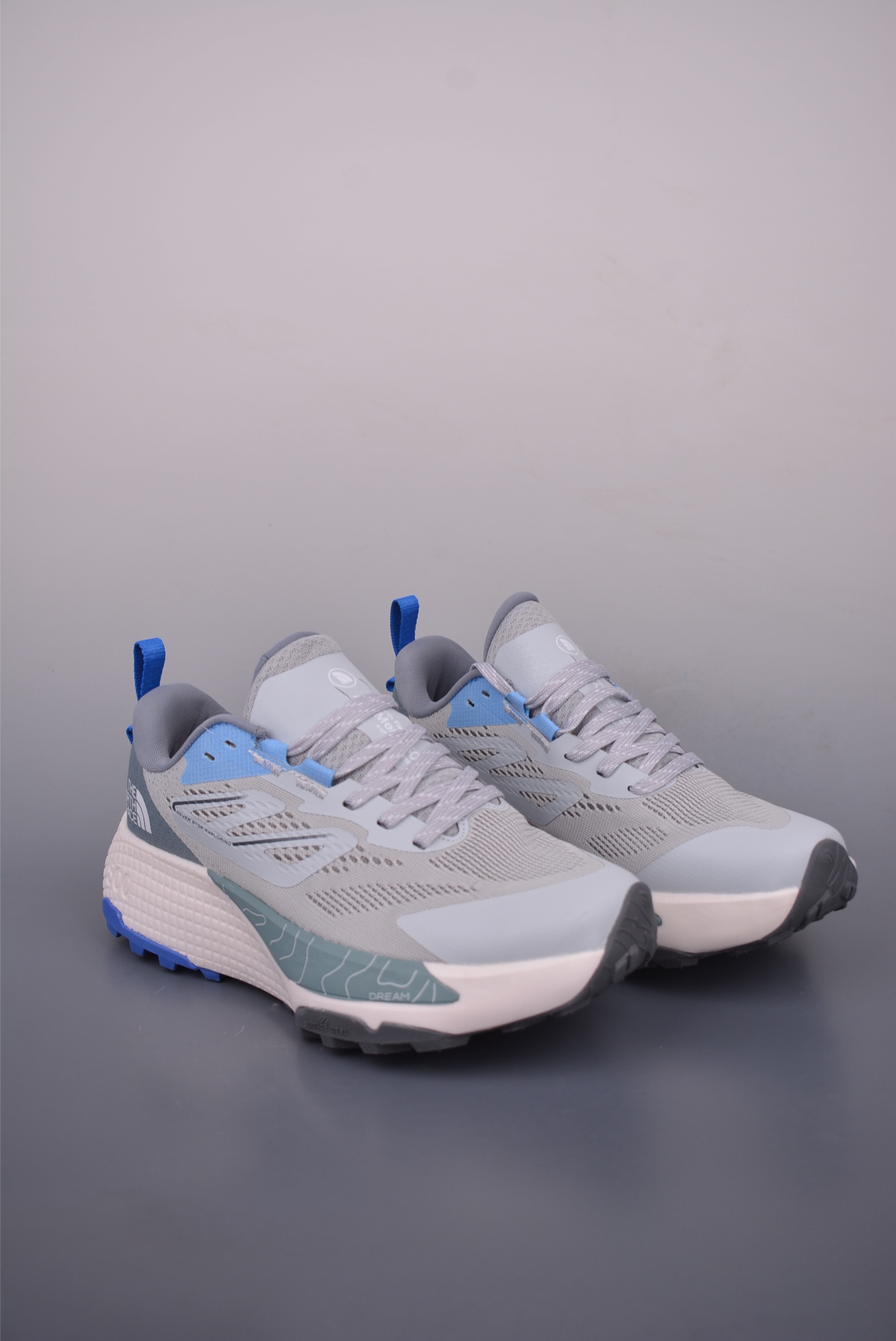 The North Face Altamesa 500 Hiking Shoes 