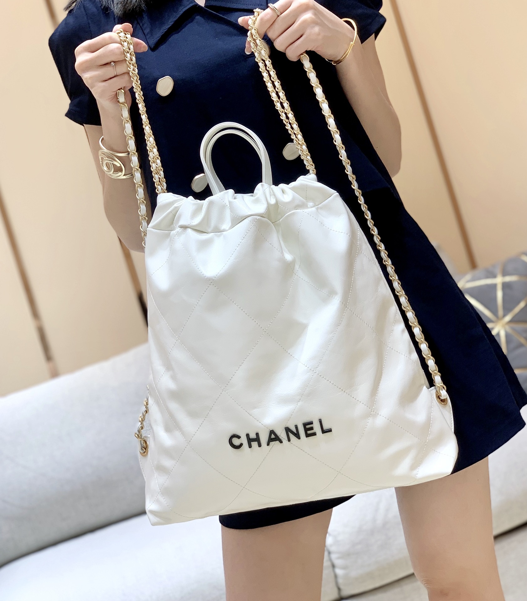 Chanel 2022cc Spring/Summer Collection Handbag AS3313