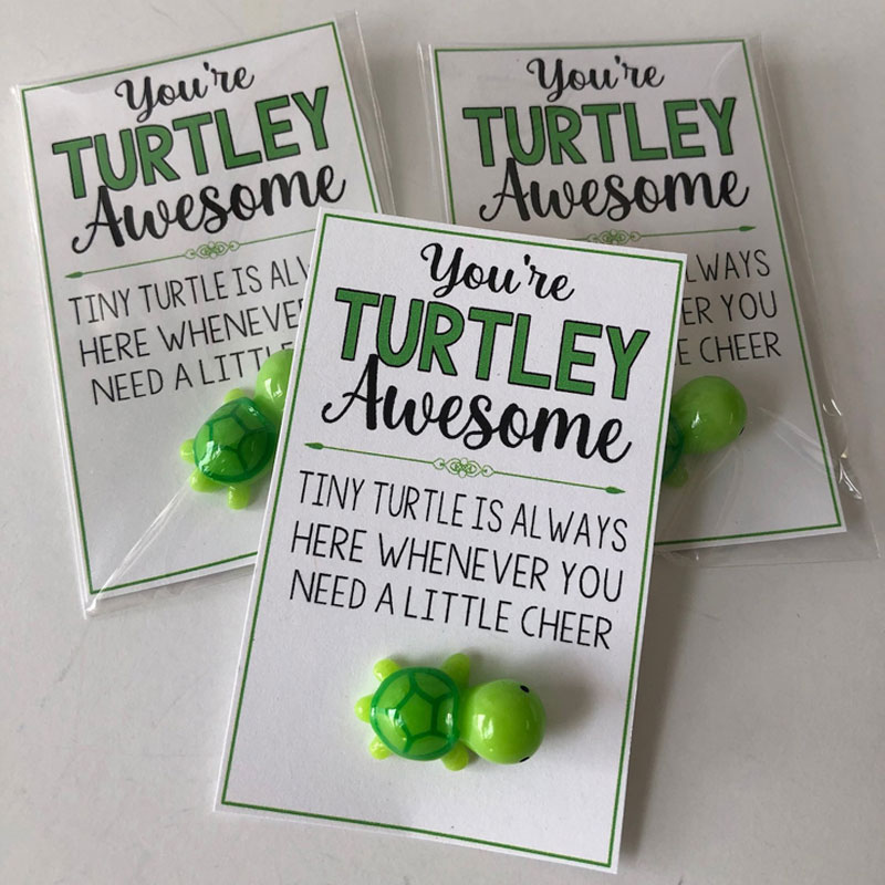 You're TURTLEY AWESOME - good luck Turtle