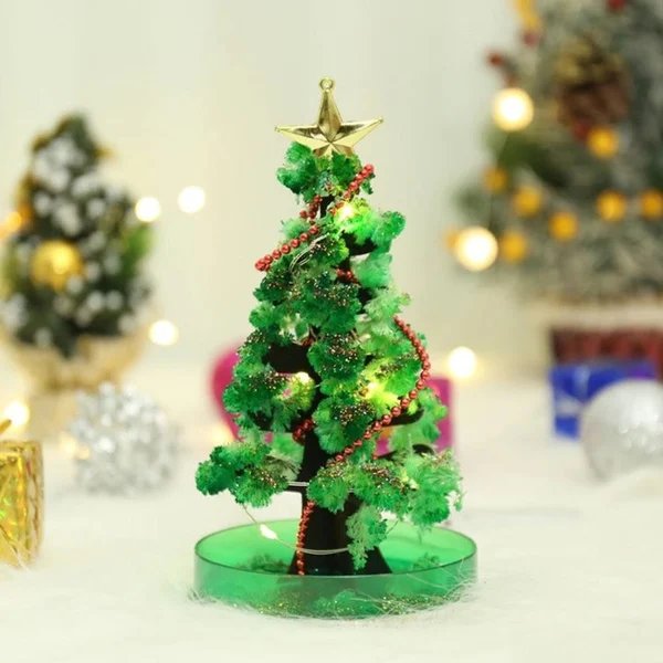 Magic Growing Christmas Tree