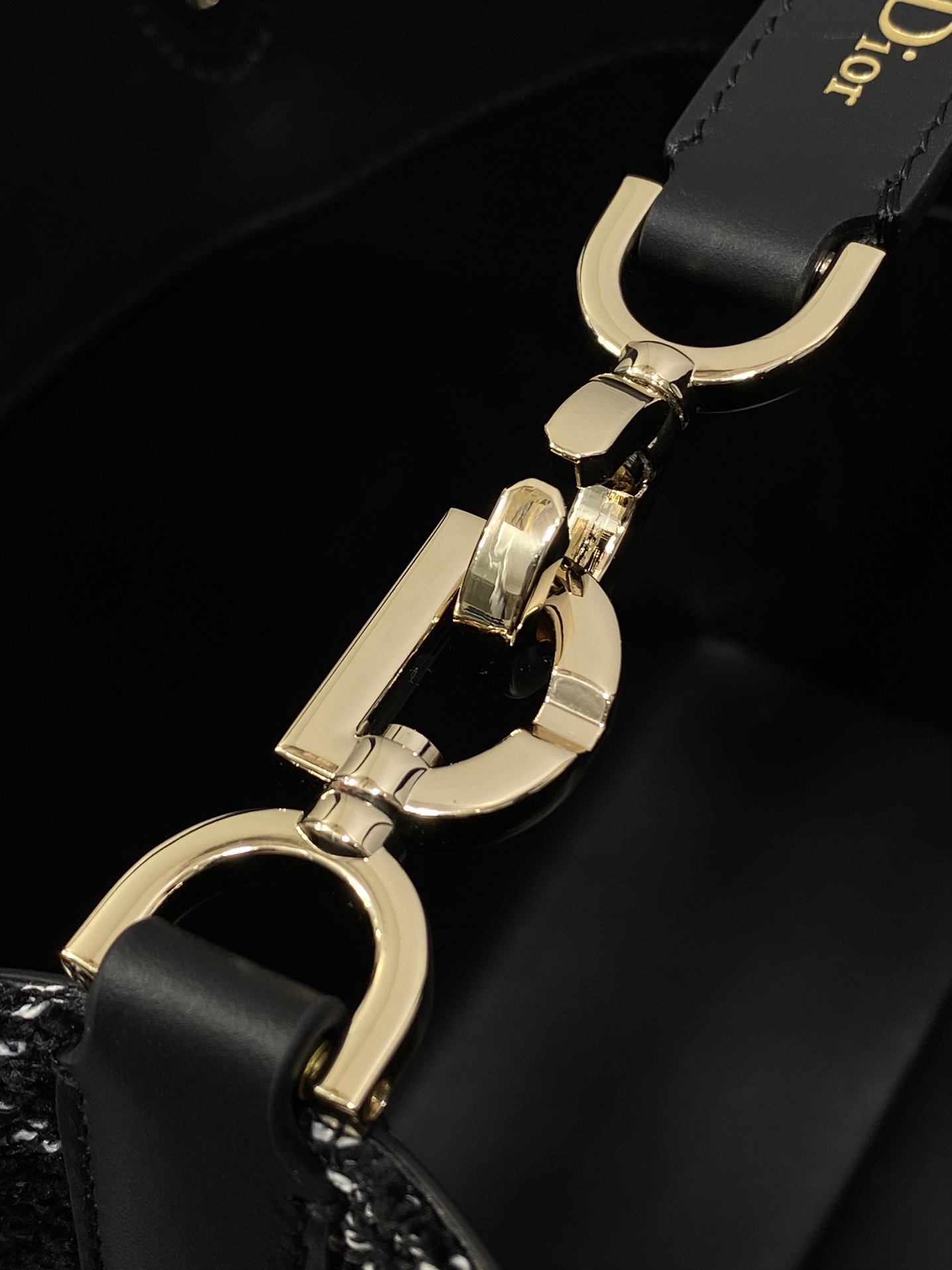 Dior Toujours Vertical Series Medium