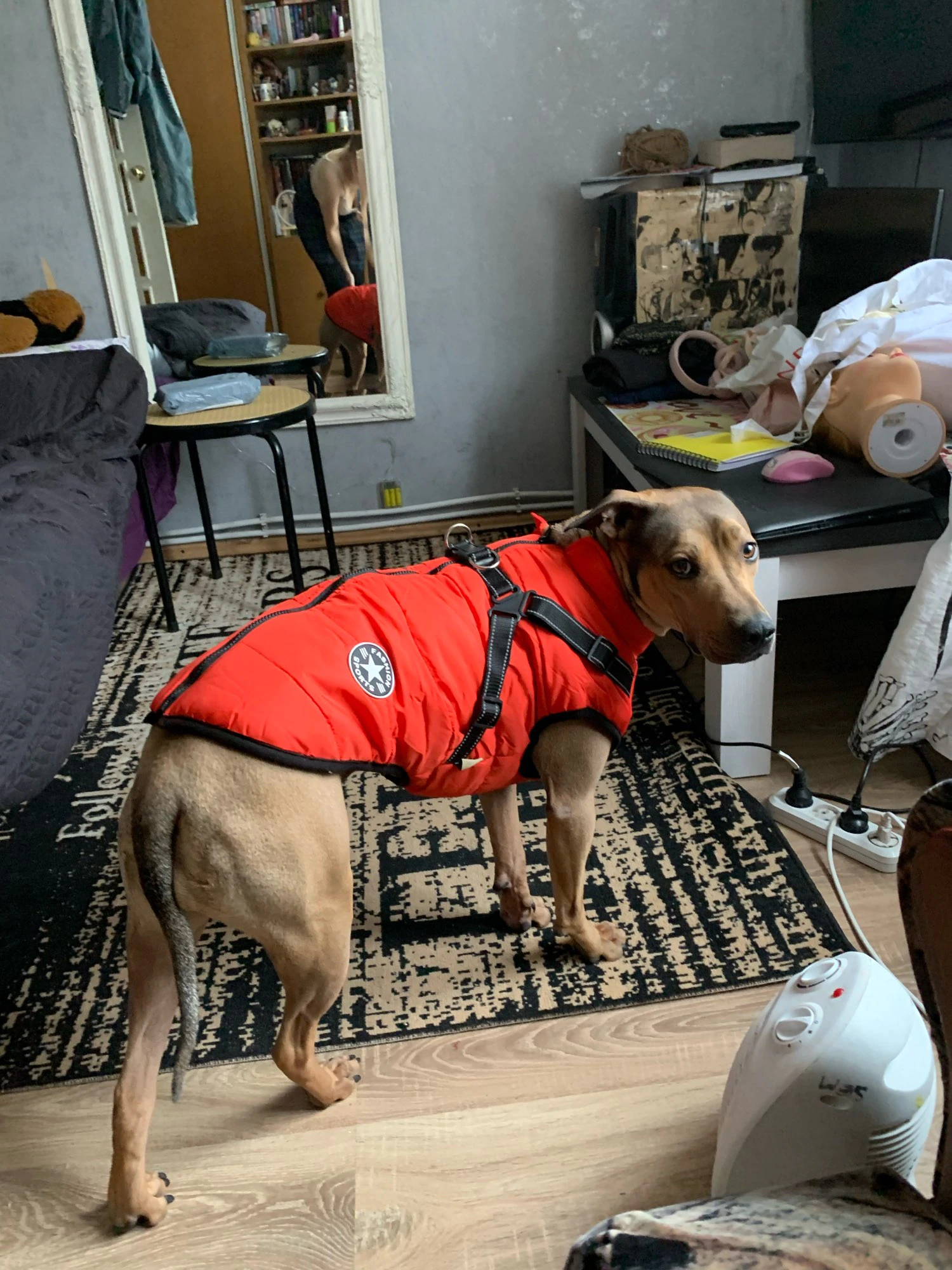 Waterproof Winter Jacket with Built-in Harness