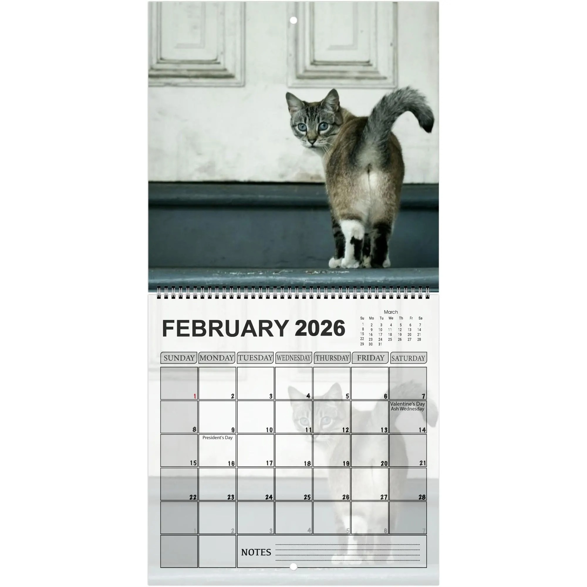 Cats' Buttholes 2026 Calendar: Funny Gag Gift for Cat Lovers