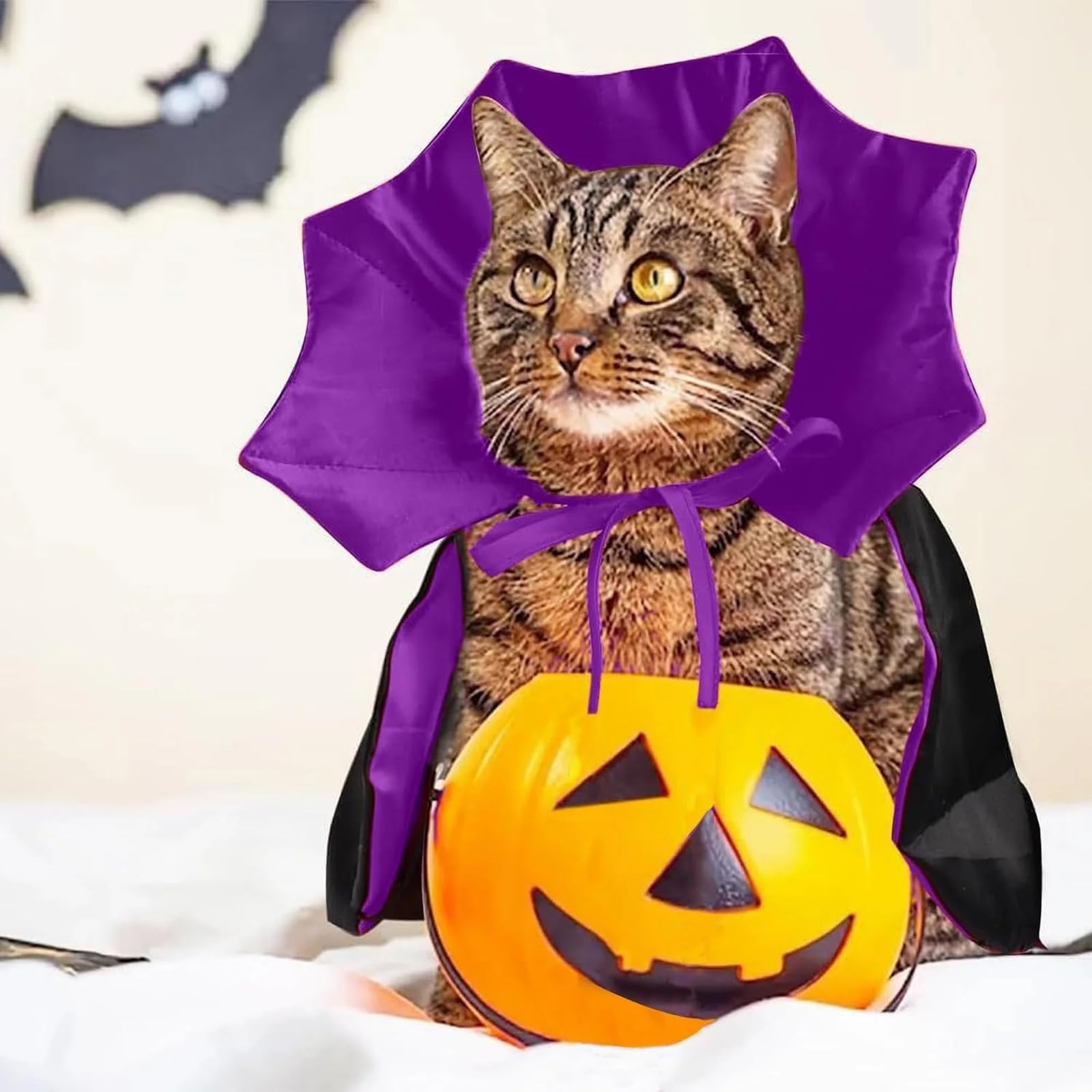 🦇Vampire Cloak Halloween Pet Cosplay🐾
