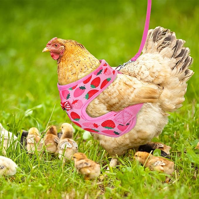 HOT SALE🔥Adjustable Chicken Harness