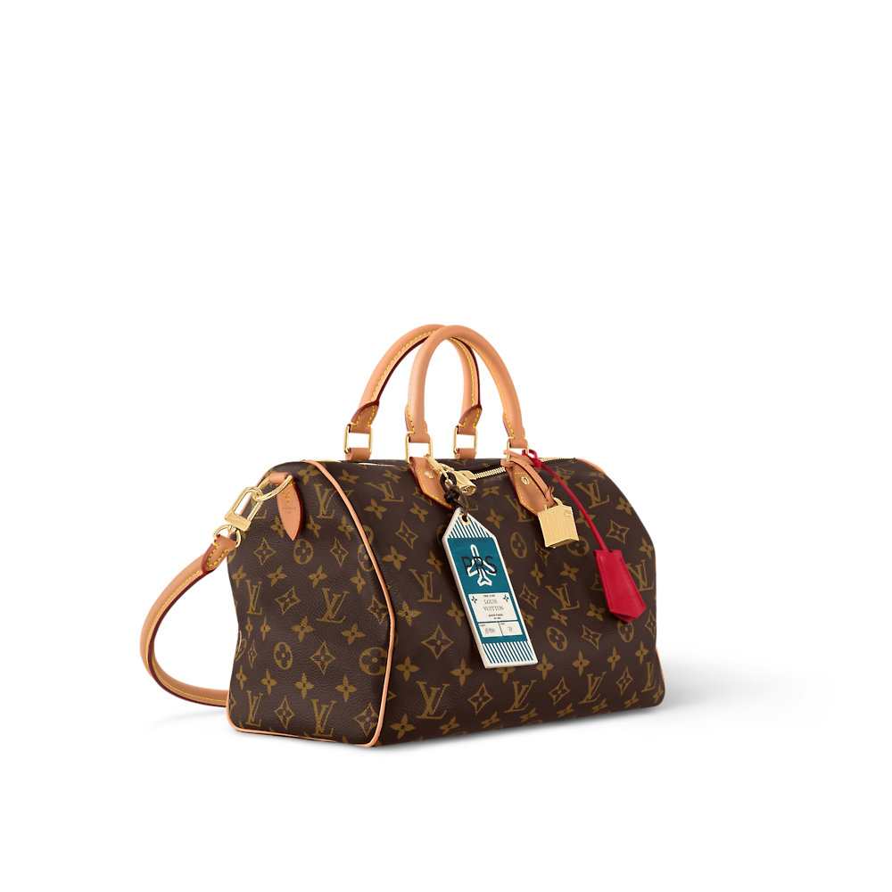 Louis Vuitton SPEEDY SOFT 30 CRAFTY Bag M11945