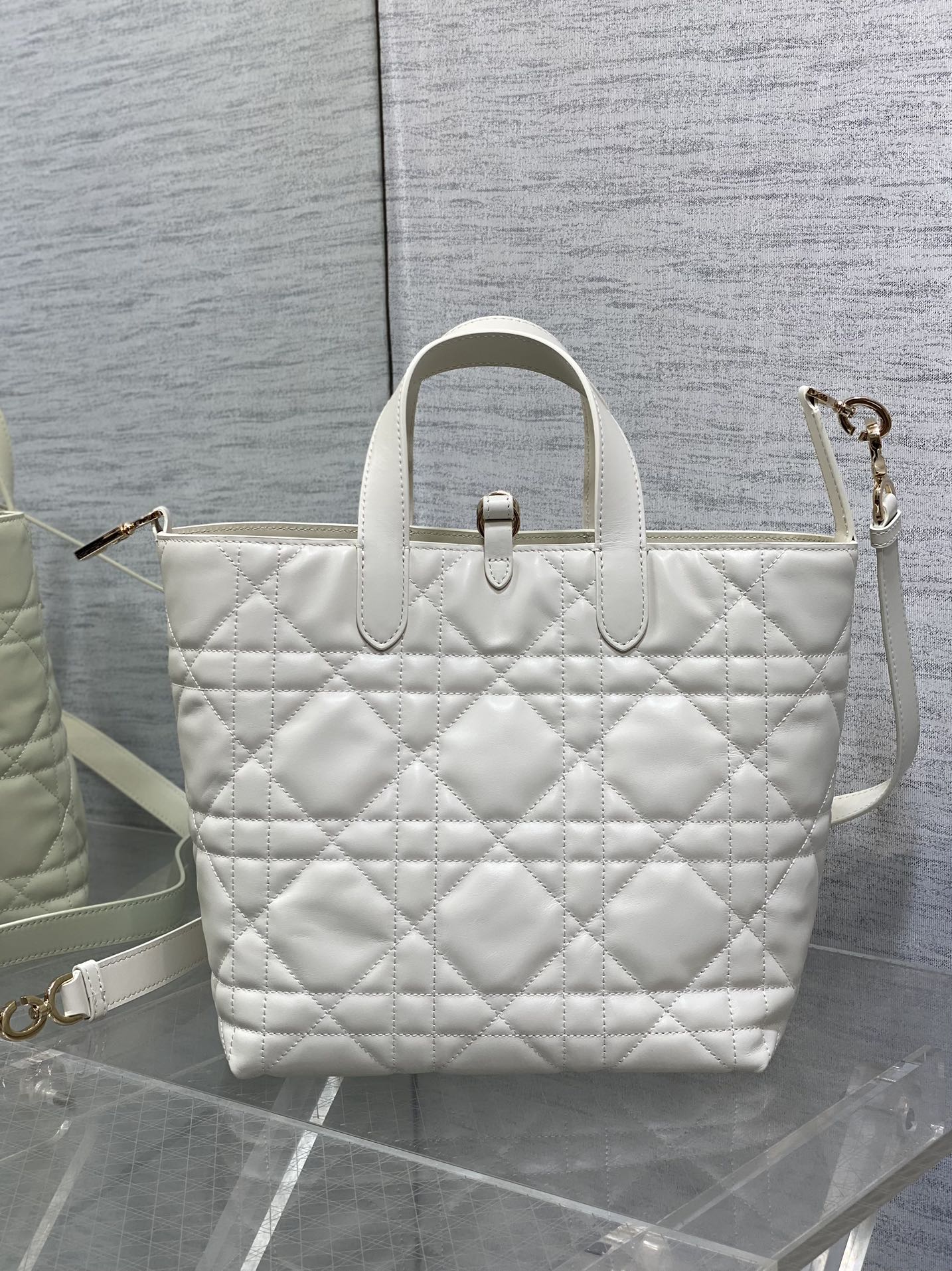 Dior Toujours Vertical Series Mediumv