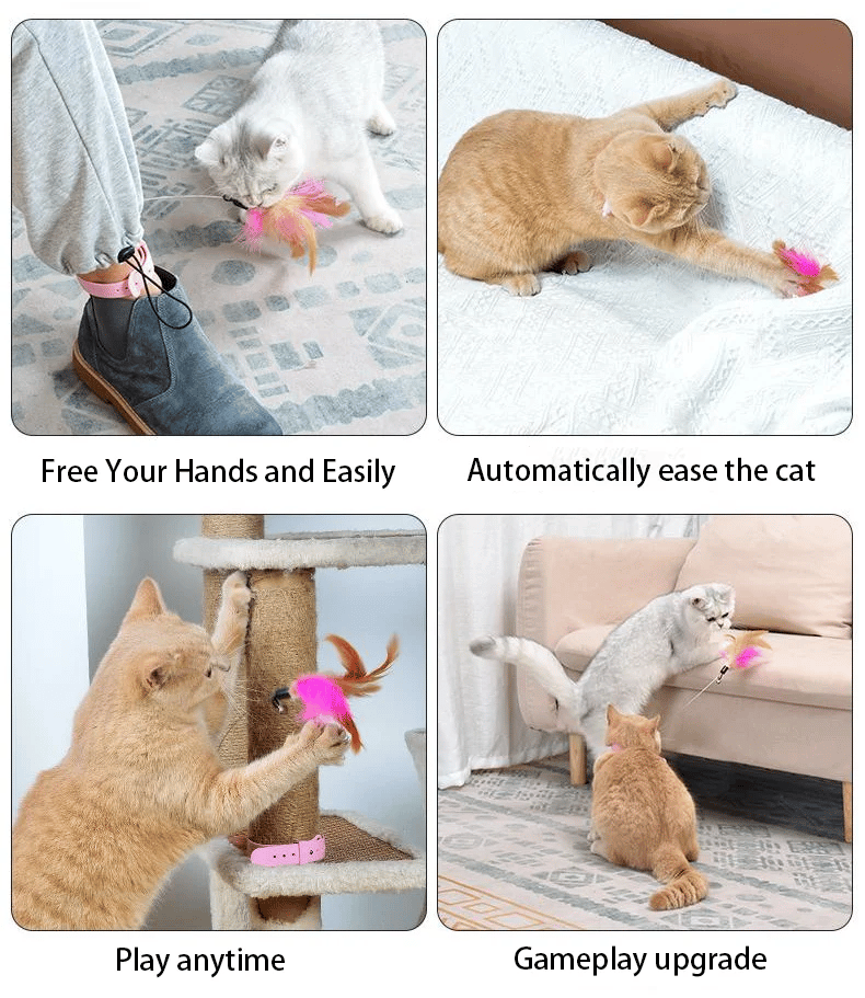 🔥Last Day Promotion-SAVE 50% OFF🔥Free hands collar cat teaser stick😻-BUY 5 GET 5 FREE(10PCS)&FREE SHIPPING