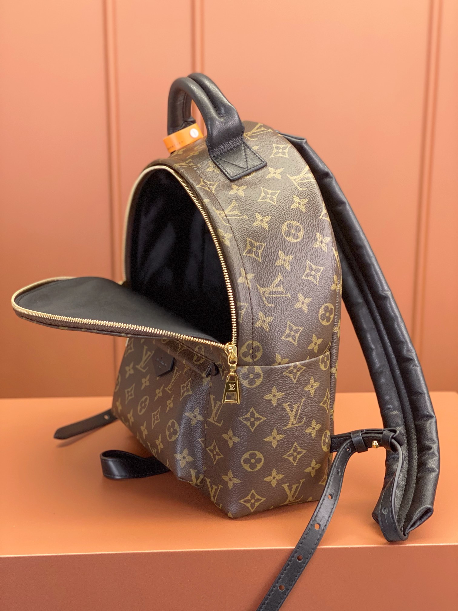 Louis Vuitton PALM SPRINGS Medium Backpack M44874