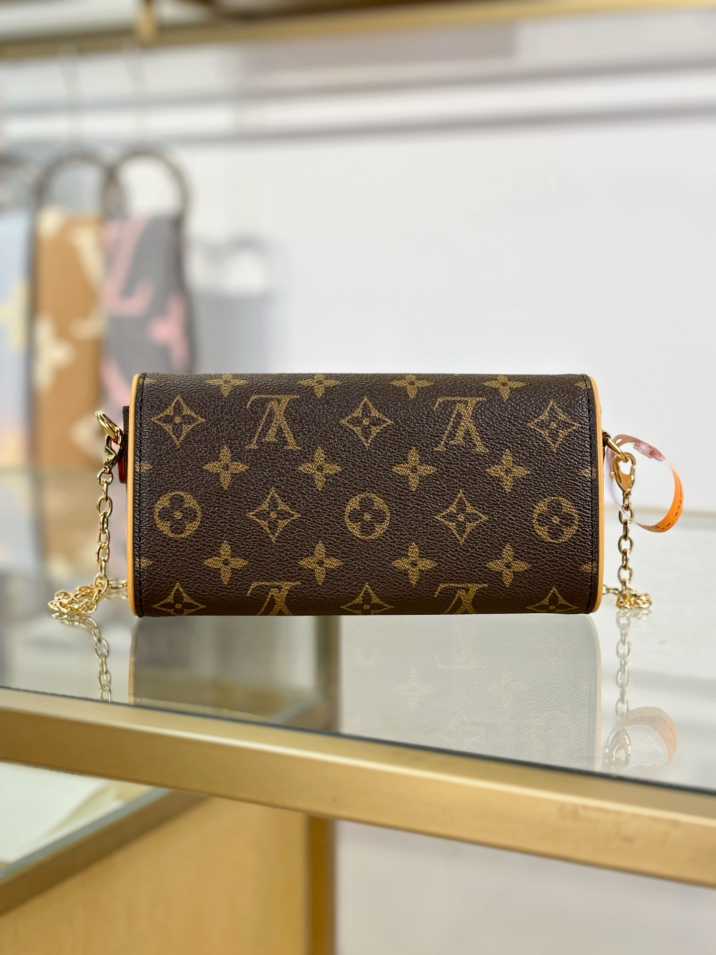 Louis Vuitton POCHETTE CAMILLE Handbag M13566