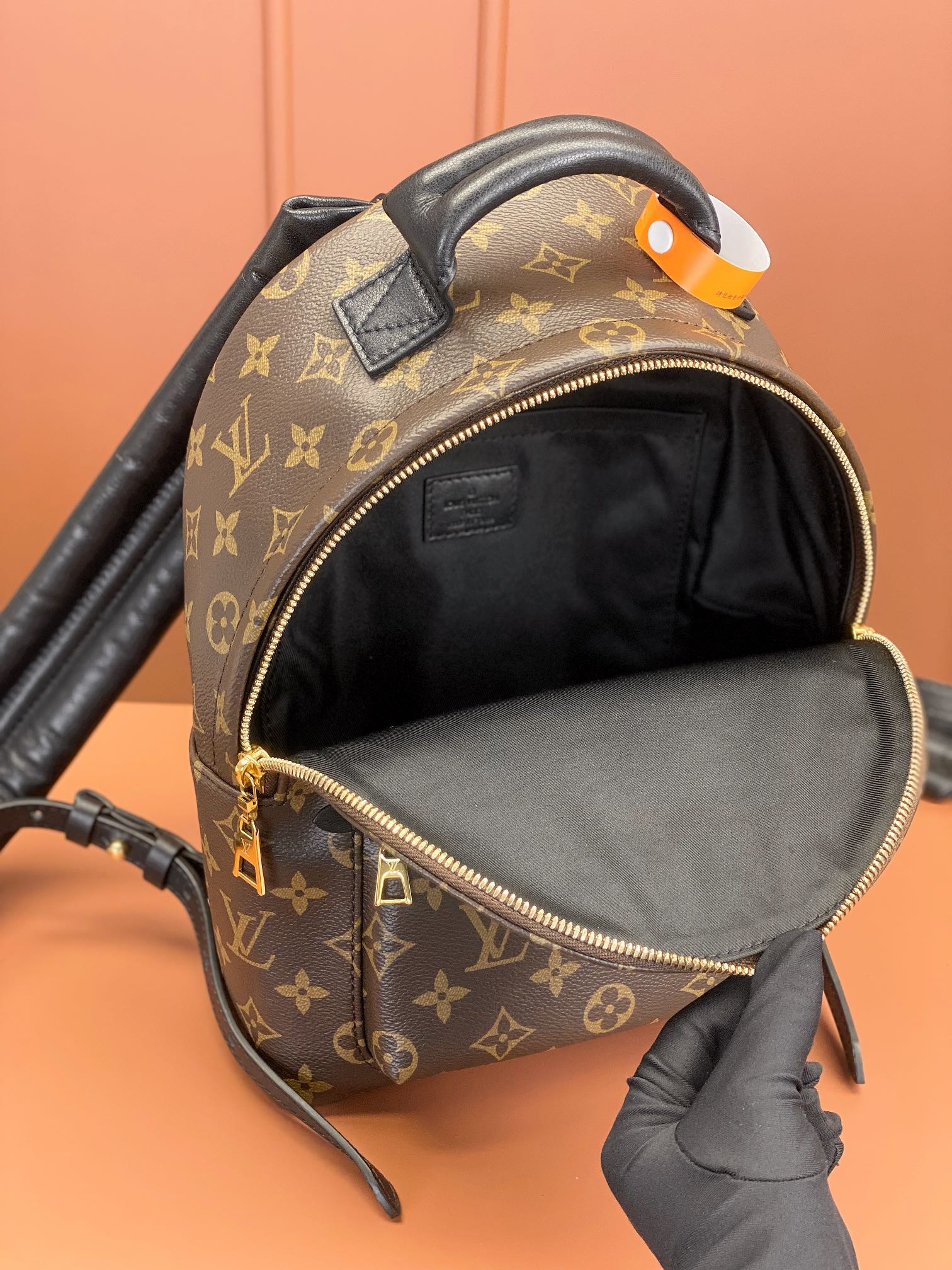 Louis Vuitton PALM SPRINGS Small Backpack M44871