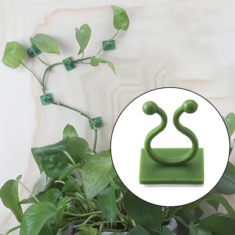 🌿🌿Plant Climbing Wall Fixture Clips