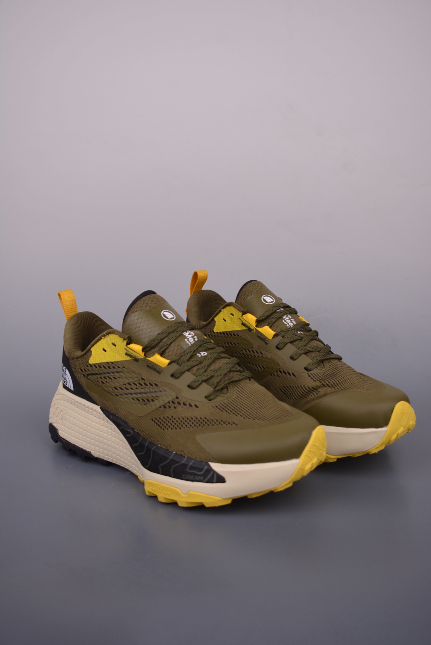 The North Face Altamesa 500 Hiking Shoes 