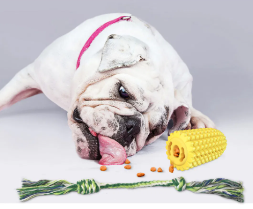 (🔥💥Last Day Promotions-50% OFF)--Chew Corn Stick Toy for Small Meduium Large Breed❤️❤️Buy 2 Get 10% OFF & Free Shipping