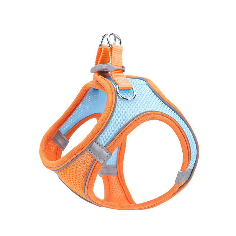 Cat Harness & Leash