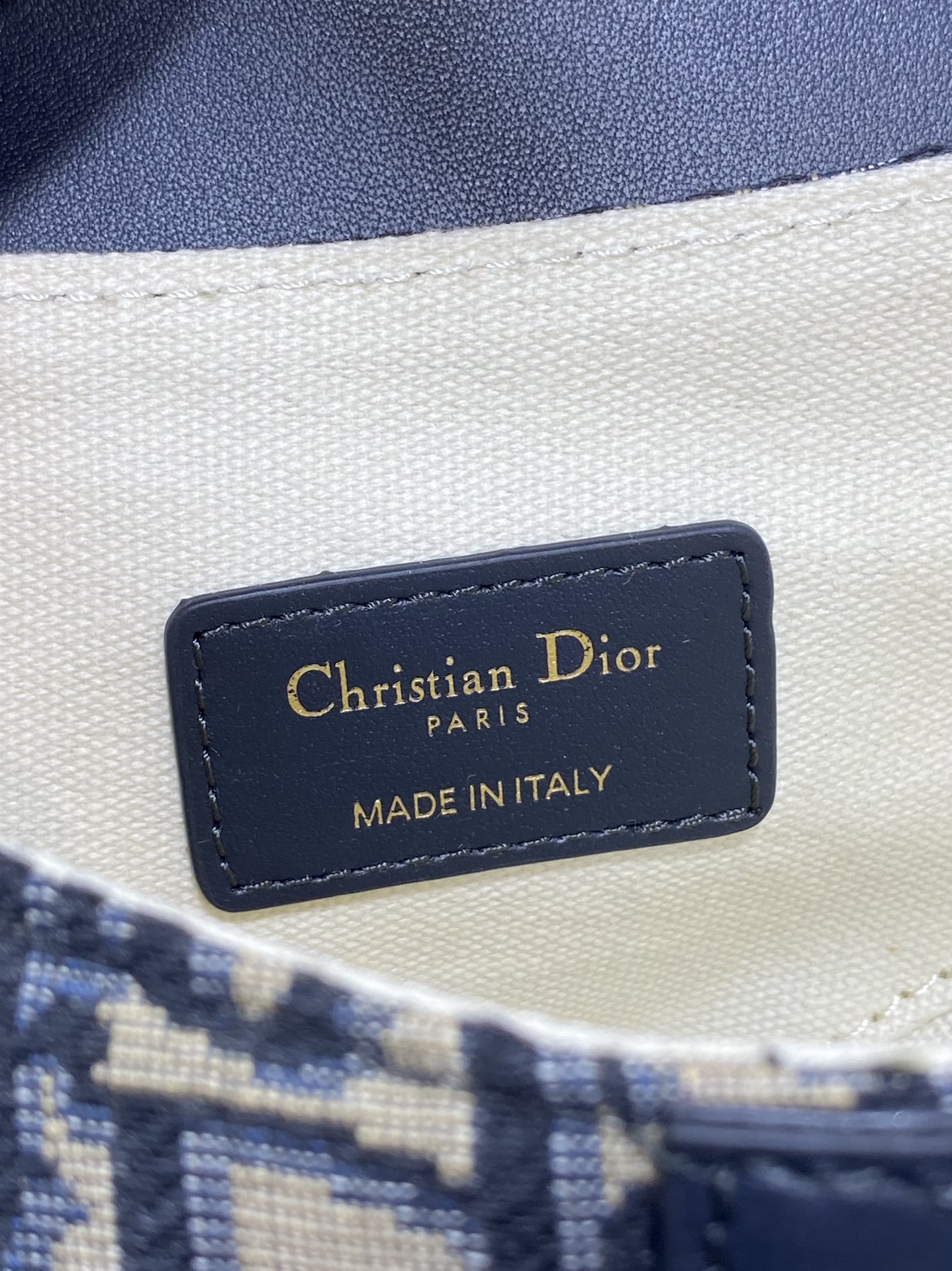 Dior Saddle Series Saddle Bag