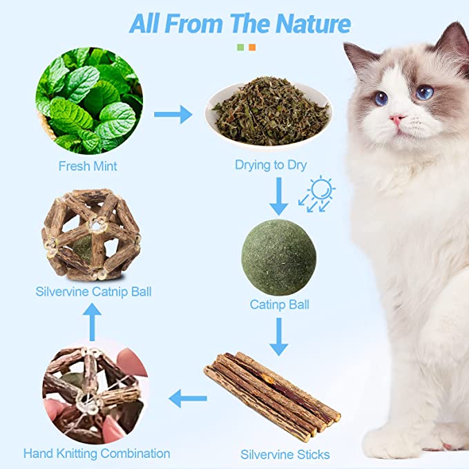 🔥Last Day Promotion-[SAVE 50% OFF]--Natural Silvervine Catnip Chew Toys--BUY 5 GET 5 FREE & FREE SHIPPING