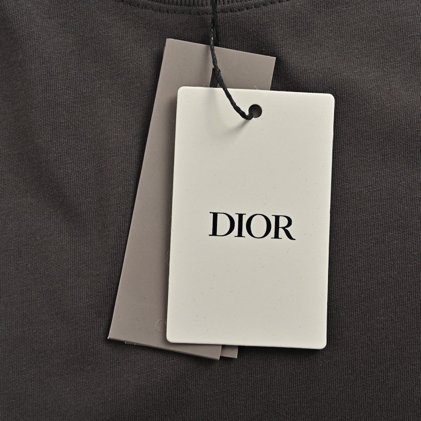 Dior 24ss embroidered flocked letter short sleeve