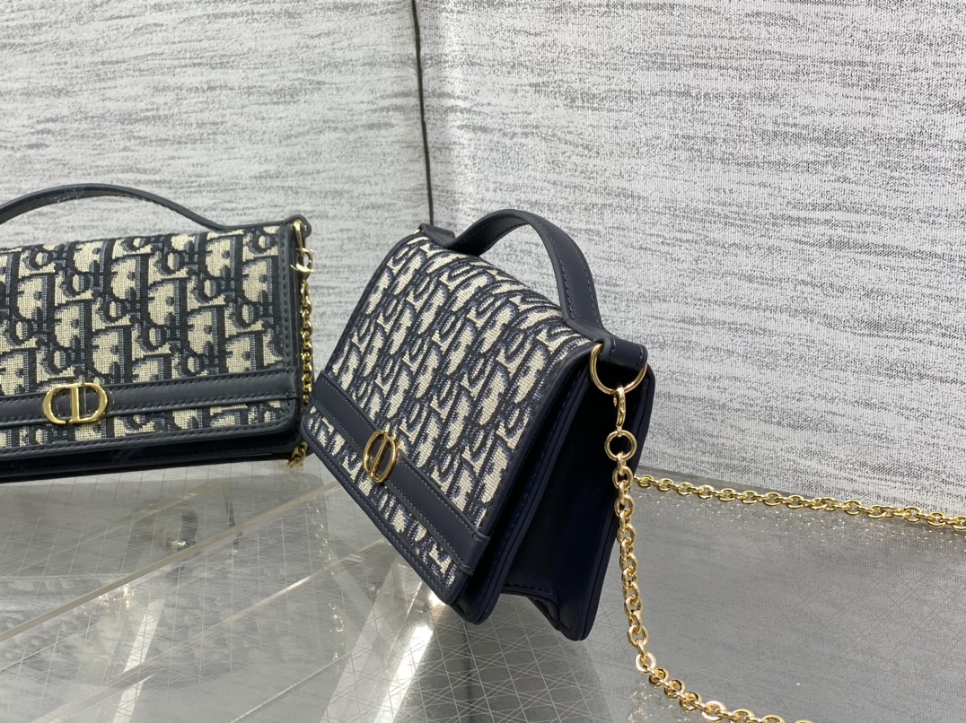 Dior 30 Montaigne Cigale Chain Bag