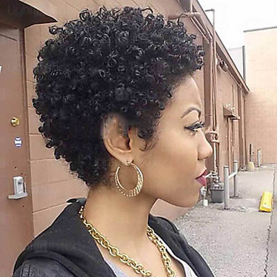 Luna Wig 018 Women Classic Short Curly Afro Hair for African American