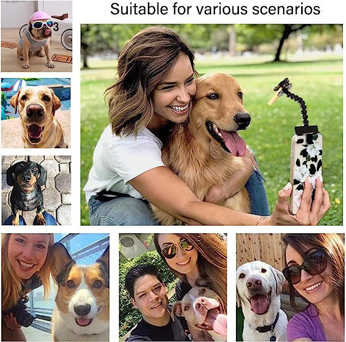 🔥Last Day Promotion - 50% OFF🔥Lovely pet selfie stick