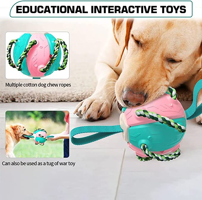 🔥Last Day Promotion-[SAVE 50% OFF]--Pet Toy Flying Saucer Chew Ball--BUY 2 GET 10% OFF & FREE SHIPPING