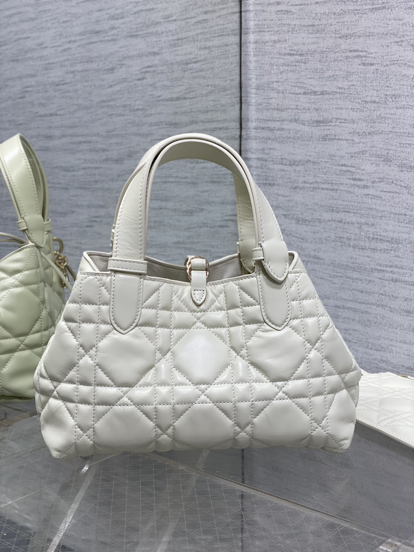 Dior Toujours Diamond Handbag
