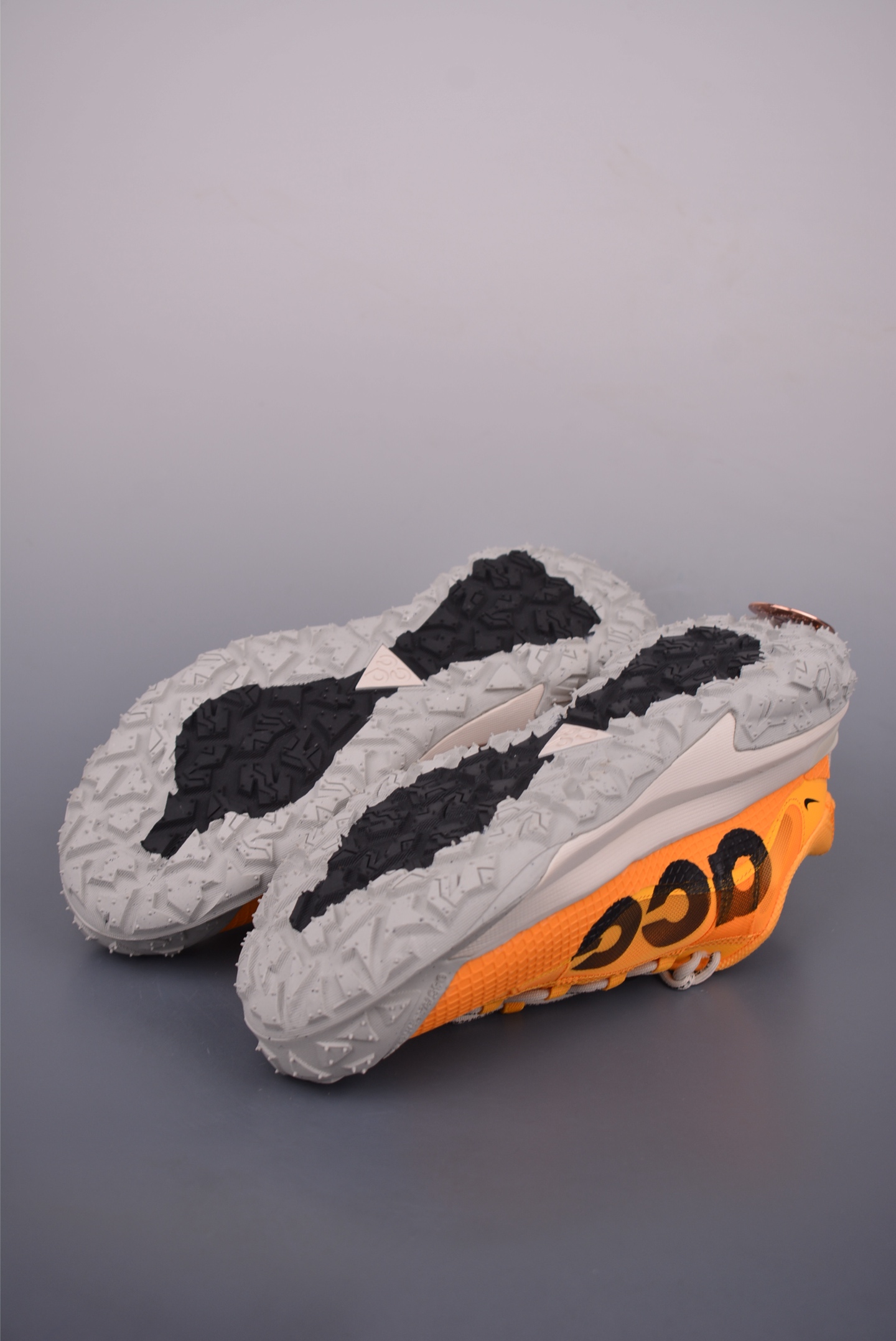 NikeACG MOUNTAIN FLY 2 LOW