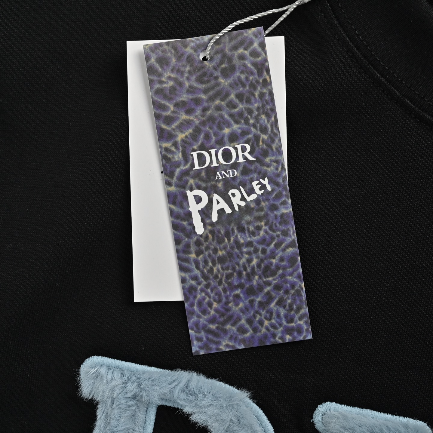 Dior 25ss blue flocked letter embroidered short sleeve
