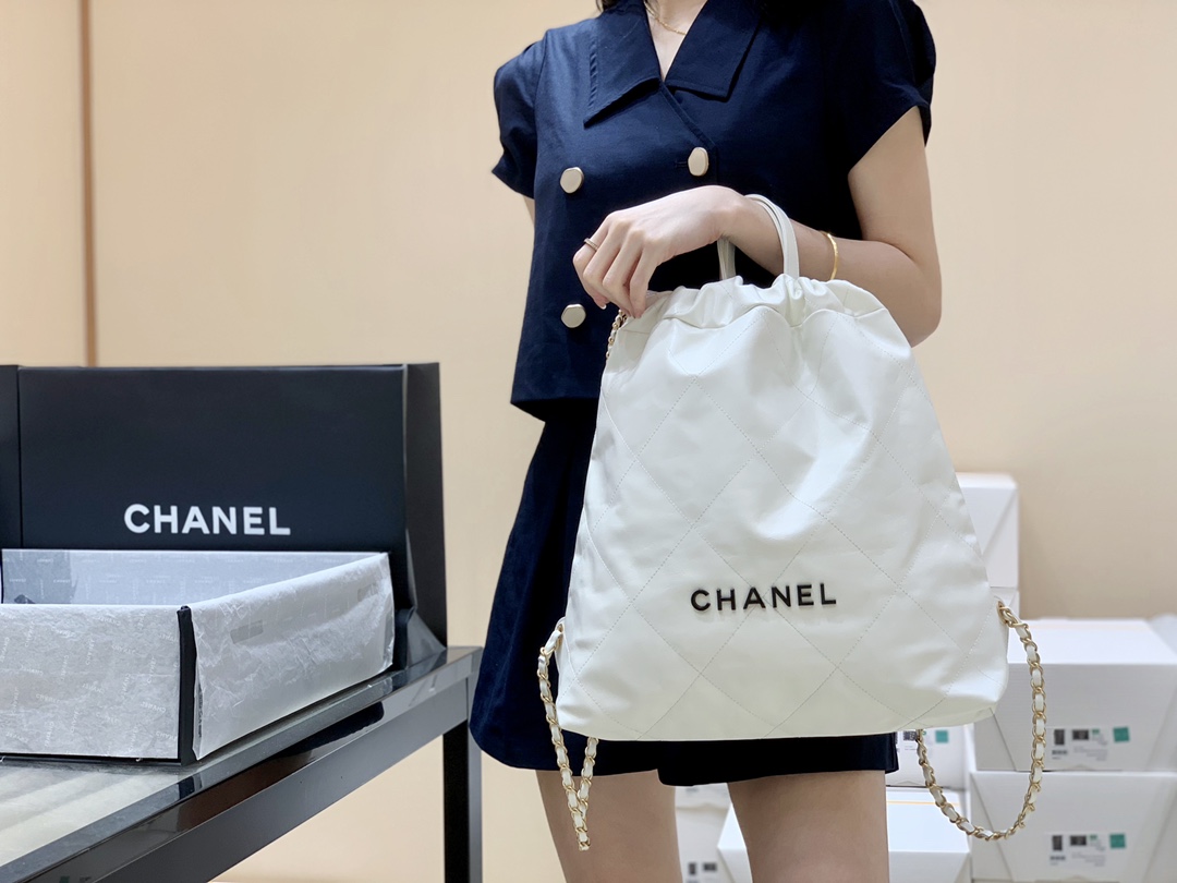 Chanel 2022cc Spring/Summer Collection Handbag AS3313