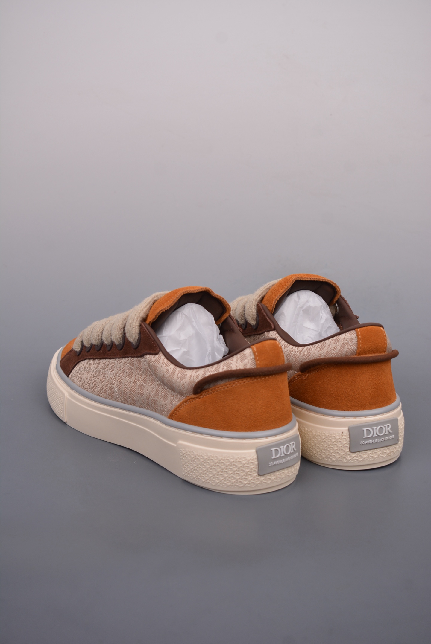 Dior B33 Low Top Sneakers 