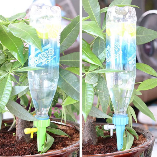 🔥Last Day Promotion - 50% OFF🔥🌱Lazy Flower Watering Tool🌱- Buy 3 sets Get 2 sets Free & Free Shipping