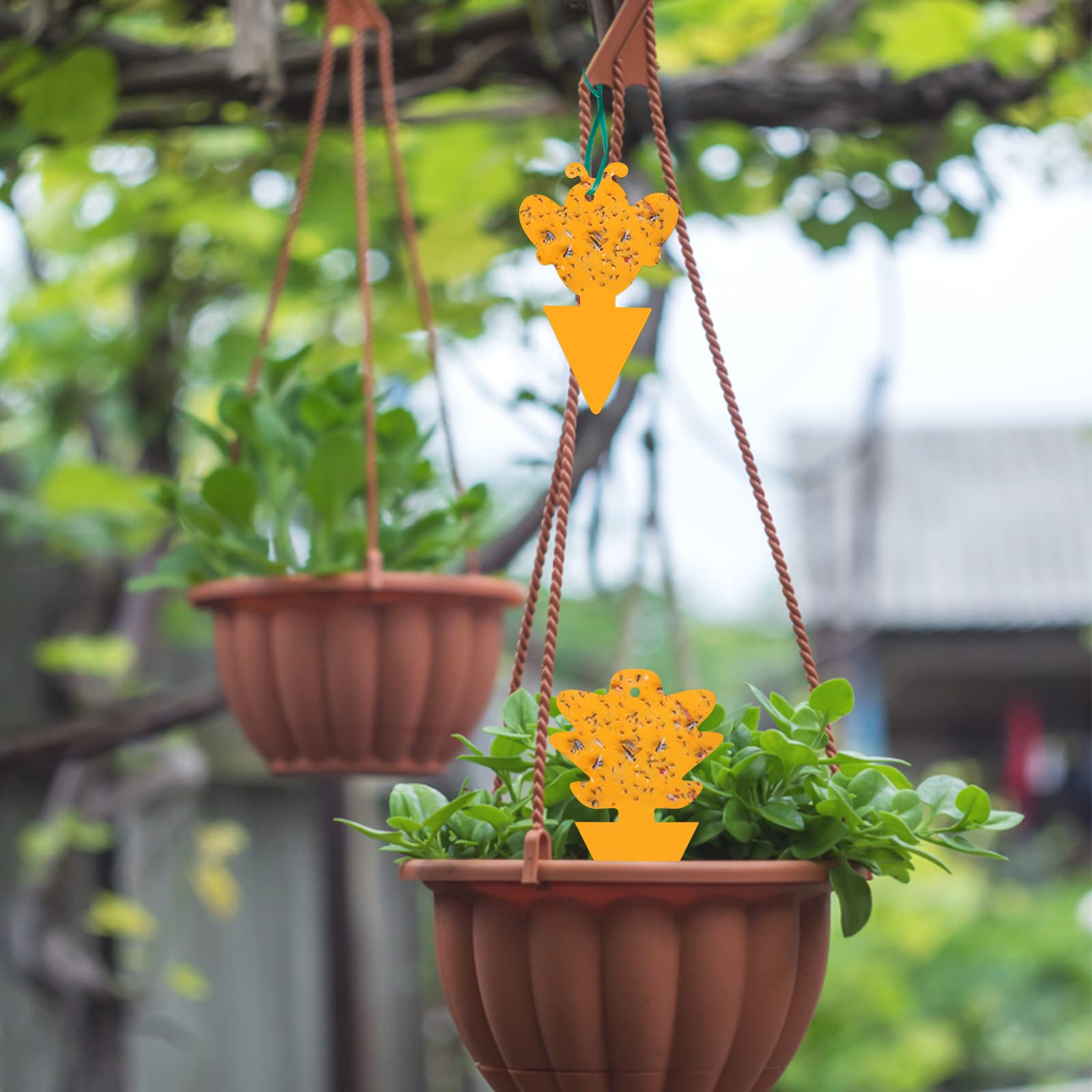 🔥Mother's Day Early Sale-[SAVE 50% OFF]--Double-sided Special-shaped Sticky Insect Trap--BUY 5 SETS GET 5 SETS FREE & FREE SHIPPING