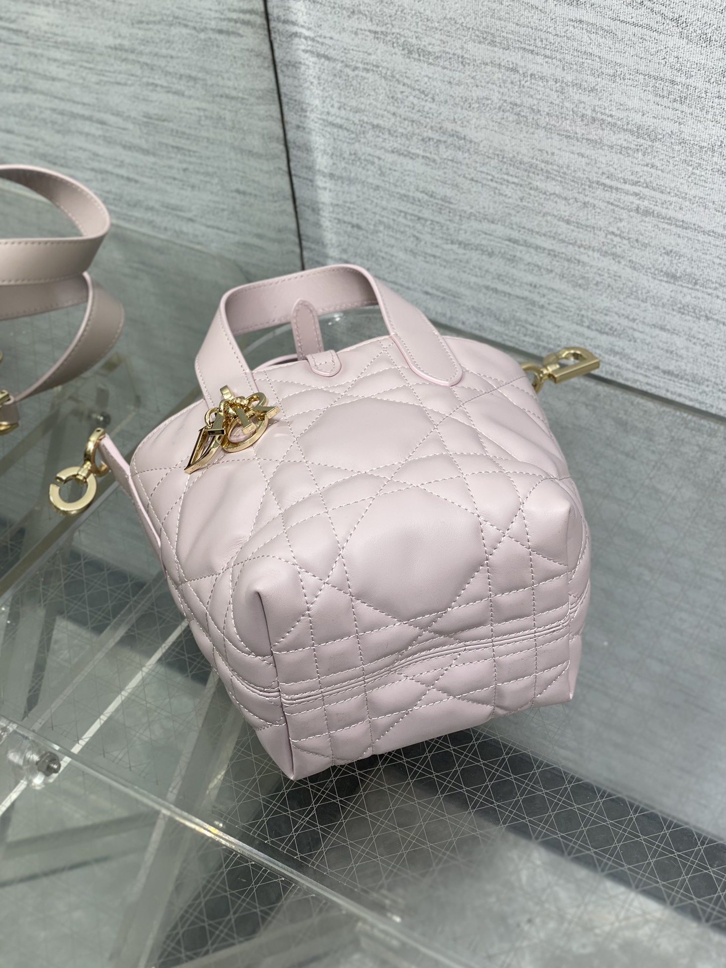 Dior Toujours vertical series mini