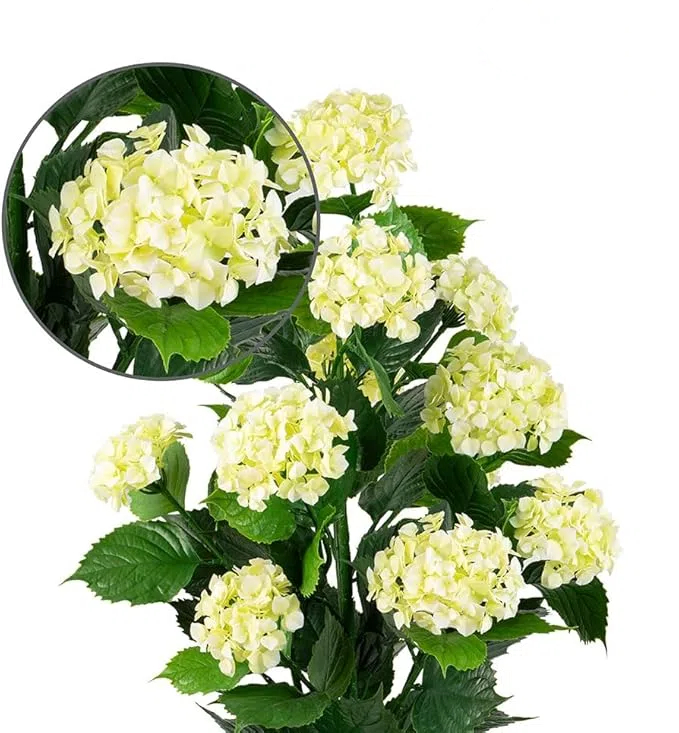 💐💐High quality artificial hydrangea-UV resistant