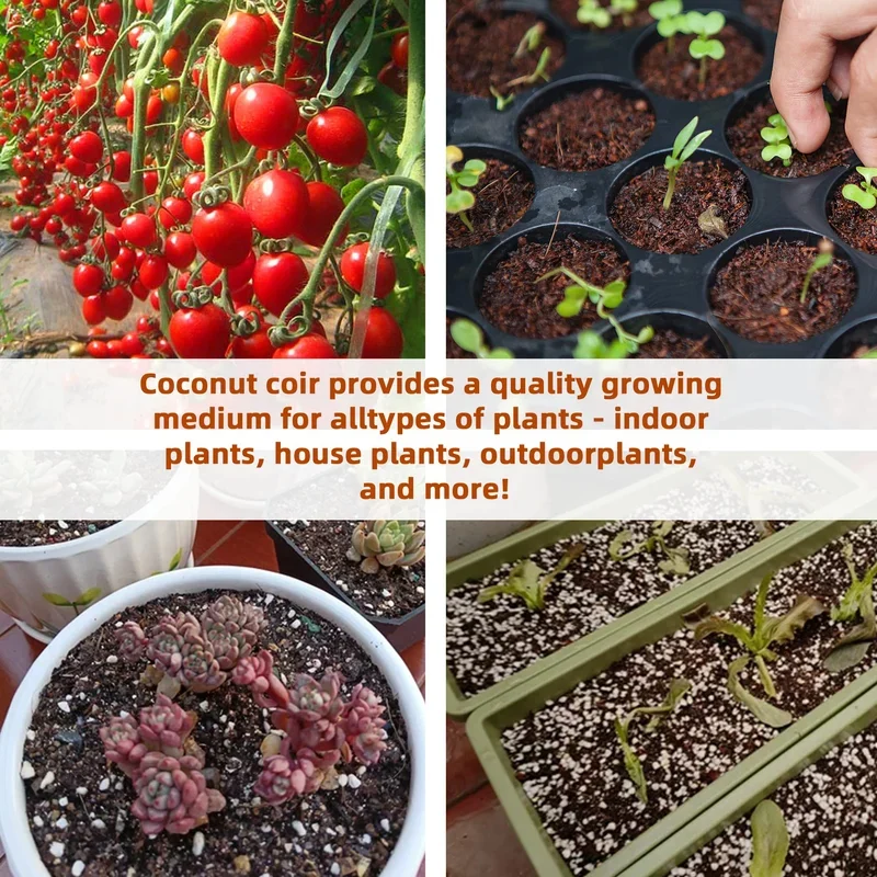 🔥Hot Sale Promotion 49% OFF - Organic Coconut Coir for Plants