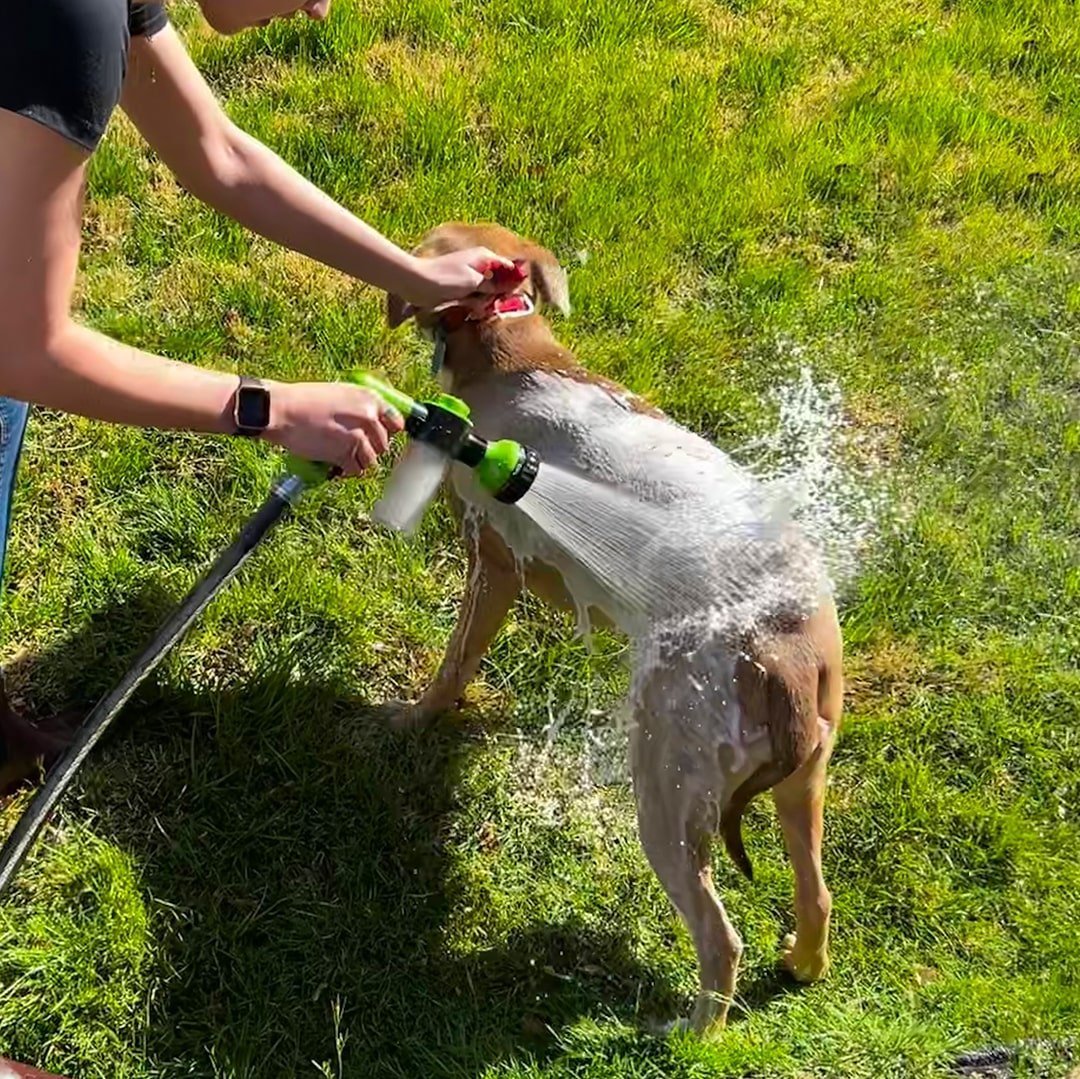 The Pup Jet 2.0