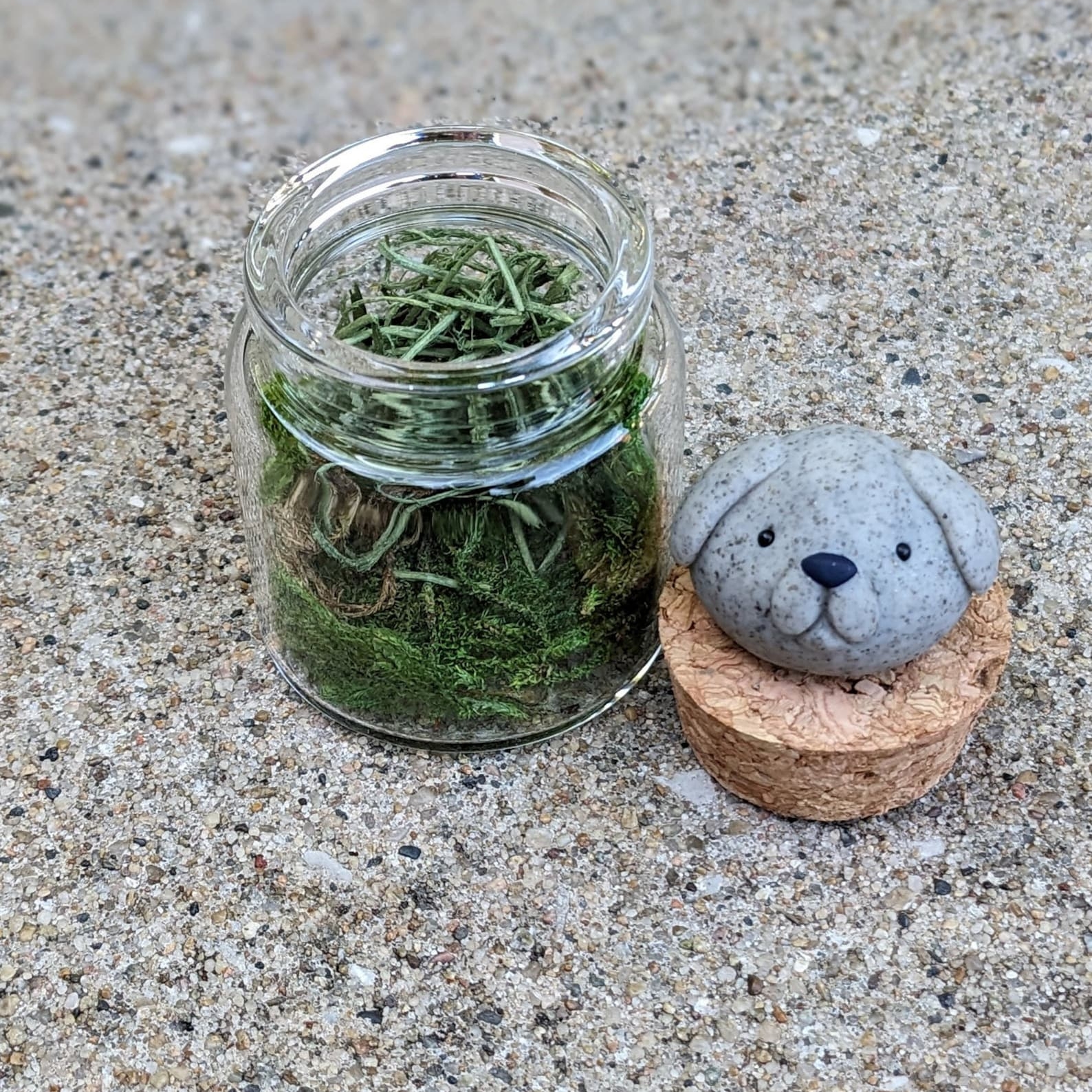 On Sale🔥Adopt A Rock Pet
